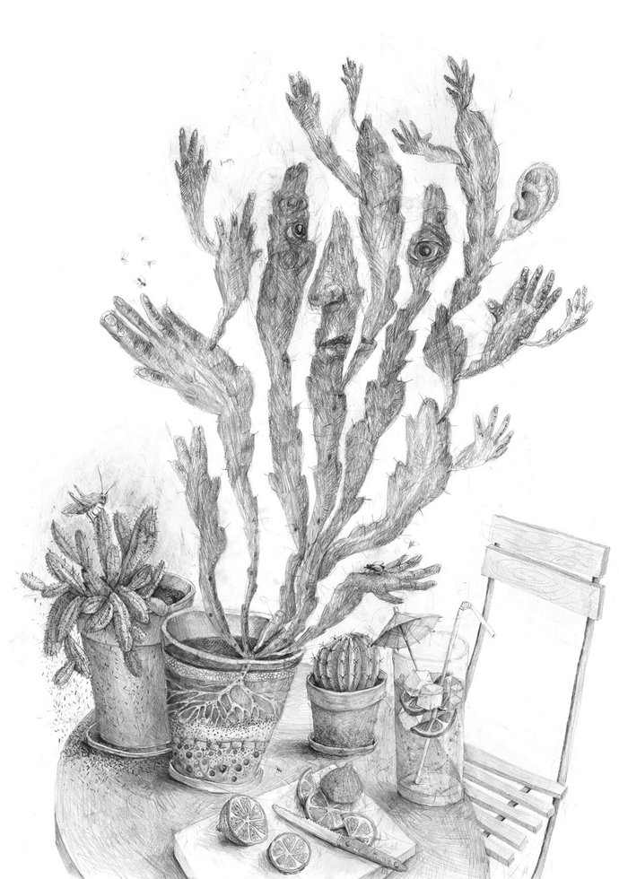 Stefan Zsaitsits Drawing Zeichnung Kaktus Sommer Cactus Summer