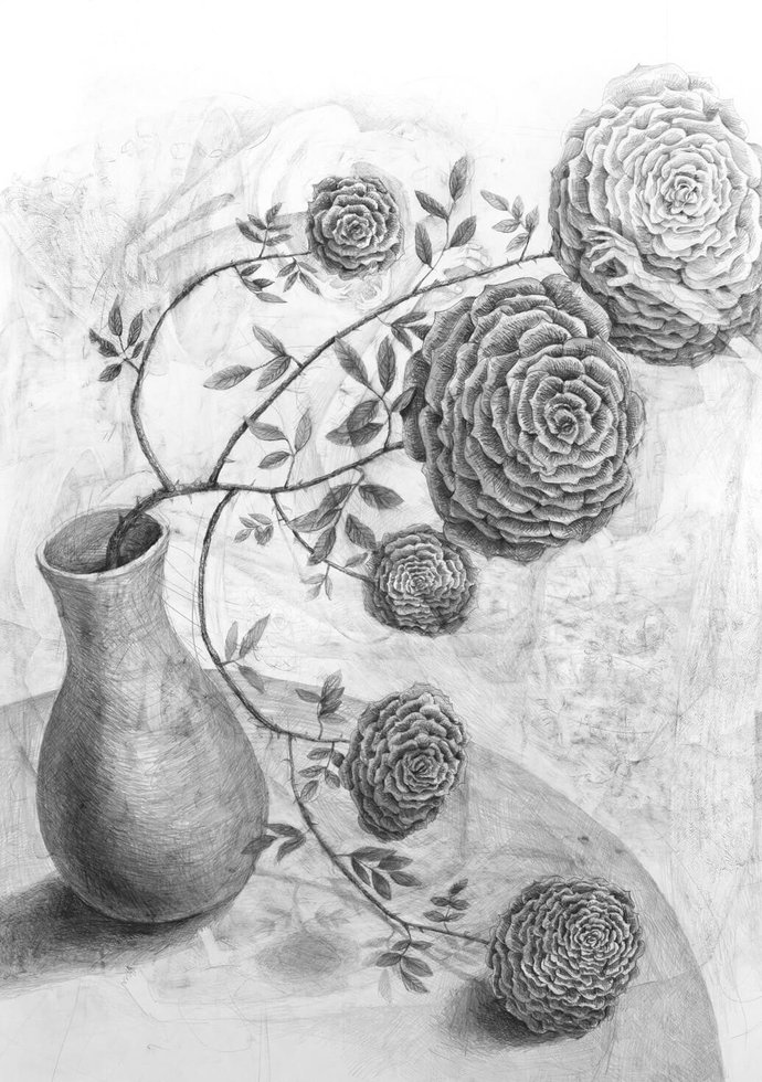 Stefan Zsaitsits Drawing Zeichnung Rosen Roses Geister Ghosts
